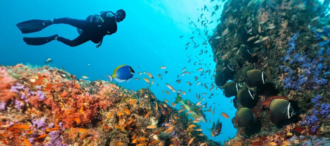 Best coral reef snorkeling