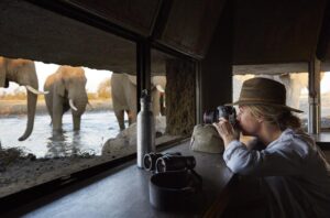 Safari lodge experiences