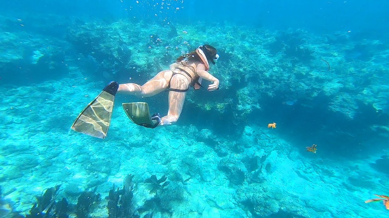 Best coral reef snorkeling
