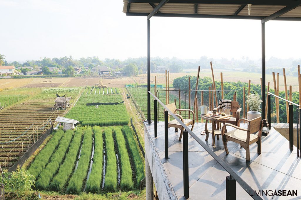 Best farm stay accommodations